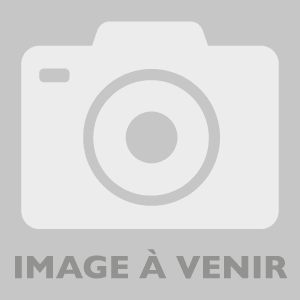 TRANCHETTE DE SAUMON ATLANTIQUE FUME 500G