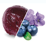 LGA SORBET MYRTILLE VIOLETTE 1625G