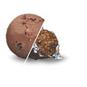 LGA V290167 GLACE faCon ROCHER 1625 G