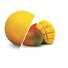 LGA V300083 SORB. MANGUE 1625 G