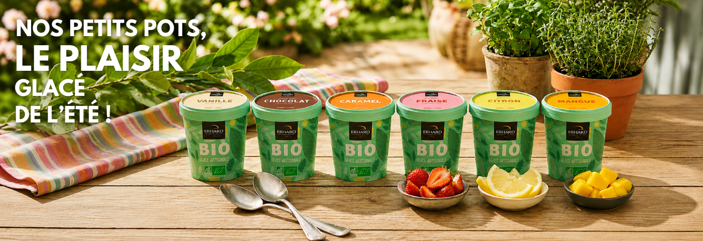 Glaces_bannières_ERHARD_petits_BIO_2.png Glaces_bannières_ERHARD_petits_BIO_2.png
